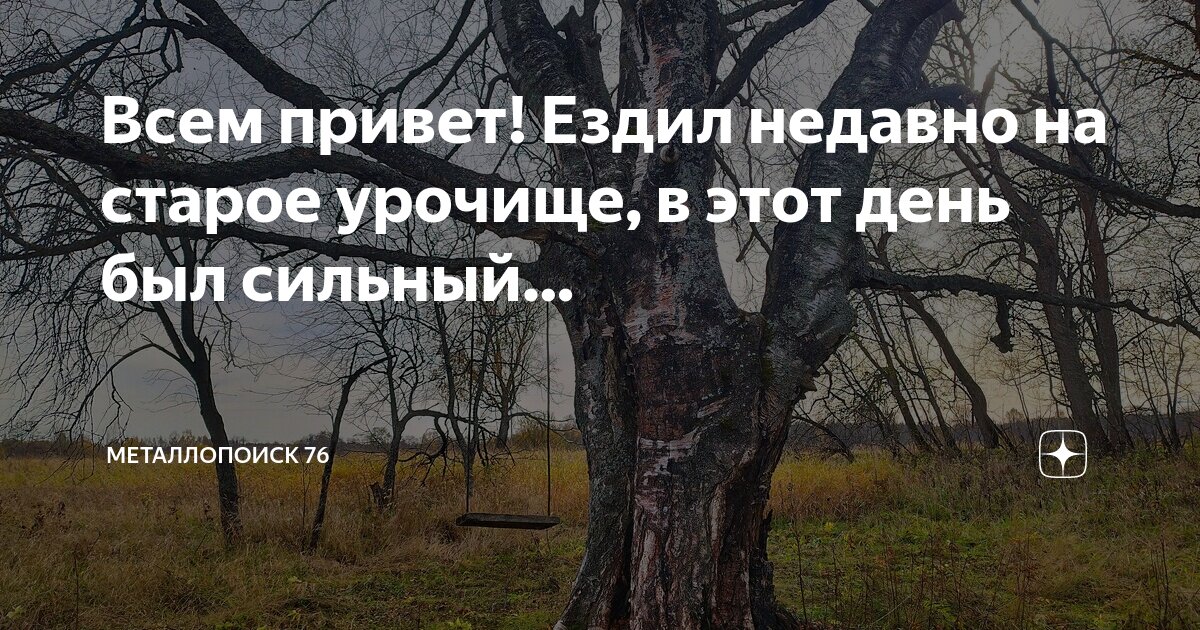 Предложение вырос под березой гриб. У старой березы вырос огромный гриб словосочетания. Опята подберезовик. У старой березы вырос огромный гриб словосочетания. У старой березы вырос огромный гриб словосочетания.