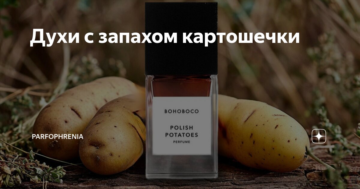 Запах парфюм бывшего. Запах парфюм бывшего