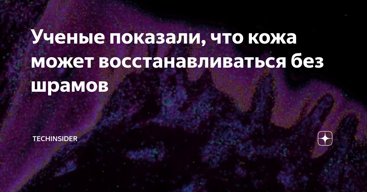 Учёные не понимают. Умный юмор. Что ученые понимают под институализацией. Что такое антивещество простыми словами. Ученые не понимают что это.