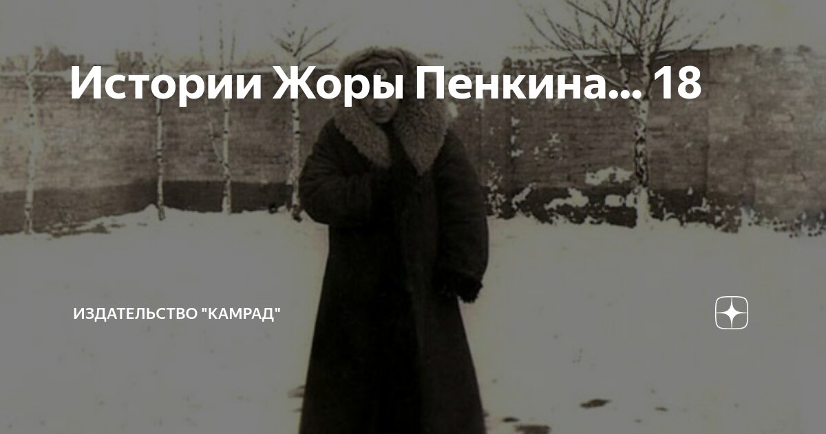 Истории Жоры Пенкина... 18 | Издательство "Камрад" | Дзен