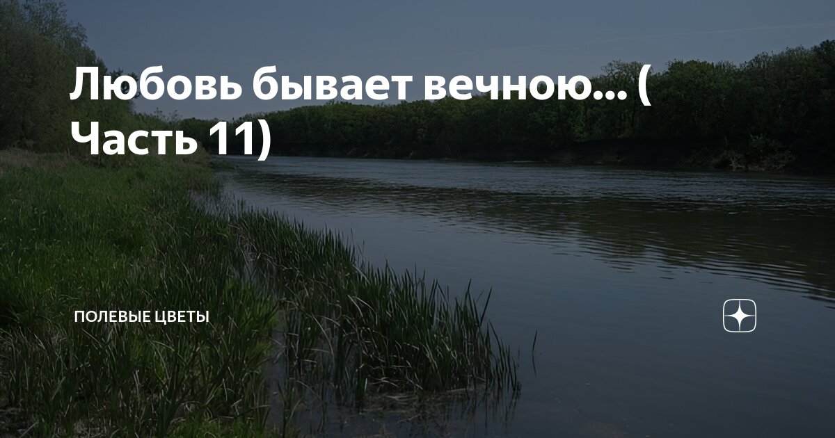 Любовь бывает вечною… ( Часть 11) | Полевые цветы | Дзен