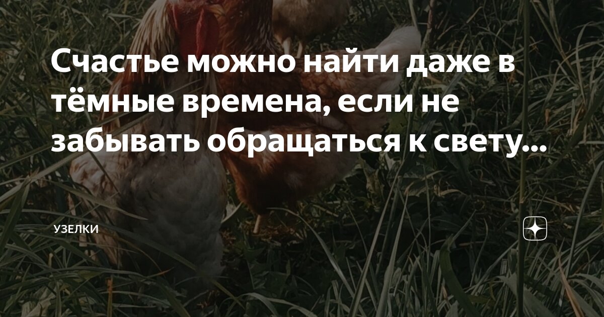 Я не знаю то свет или