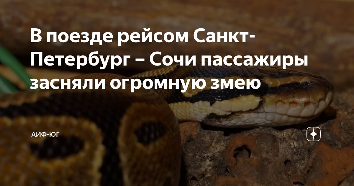 сколько ехать на поезде из сочи в санкт-петербург