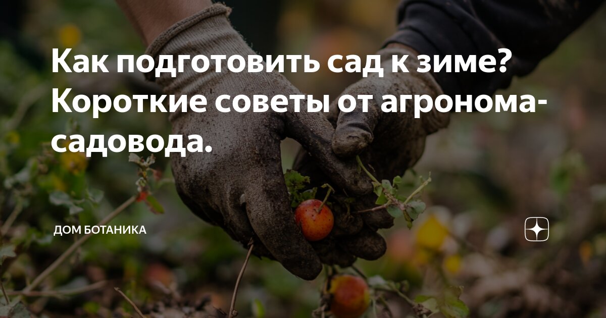 Для каких профессий важны ботанические знания. Для каких профессий важны ботанические знания