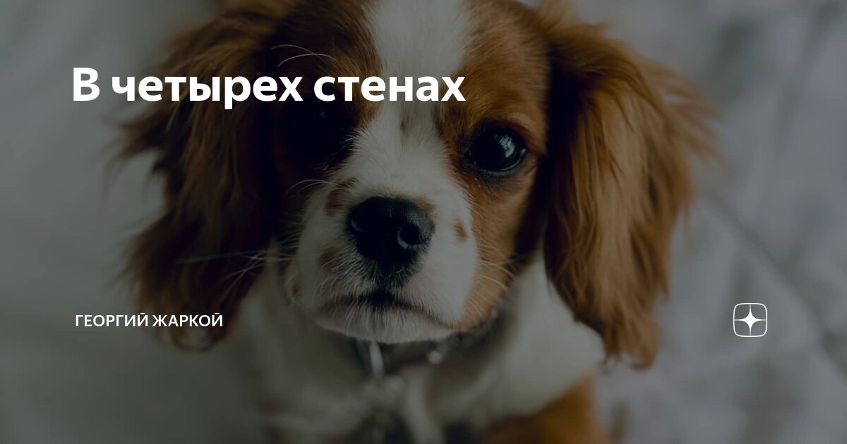 В четырех стенах | Георгий Жаркой | Дзен