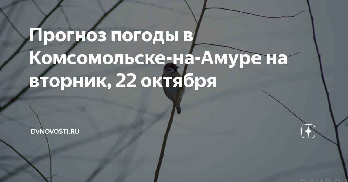 Погода комсомольск. Погода на завтра. Погода в комсомольске-на-амуре на 10. Погода в комсомольске на завтра точный. Погода в коврове.