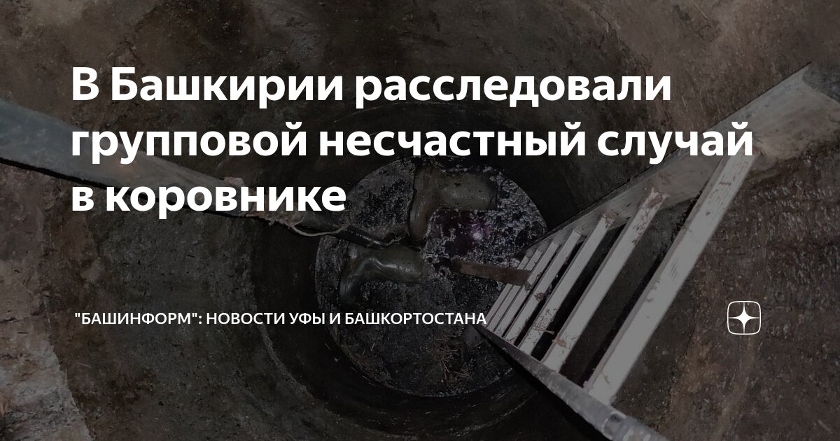 В Башкирии расследовали групповой несчастный случай в коровнике ...