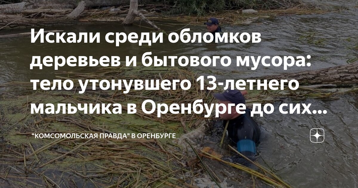 Мальчик спас утопающего. Мальчик спас утопающего