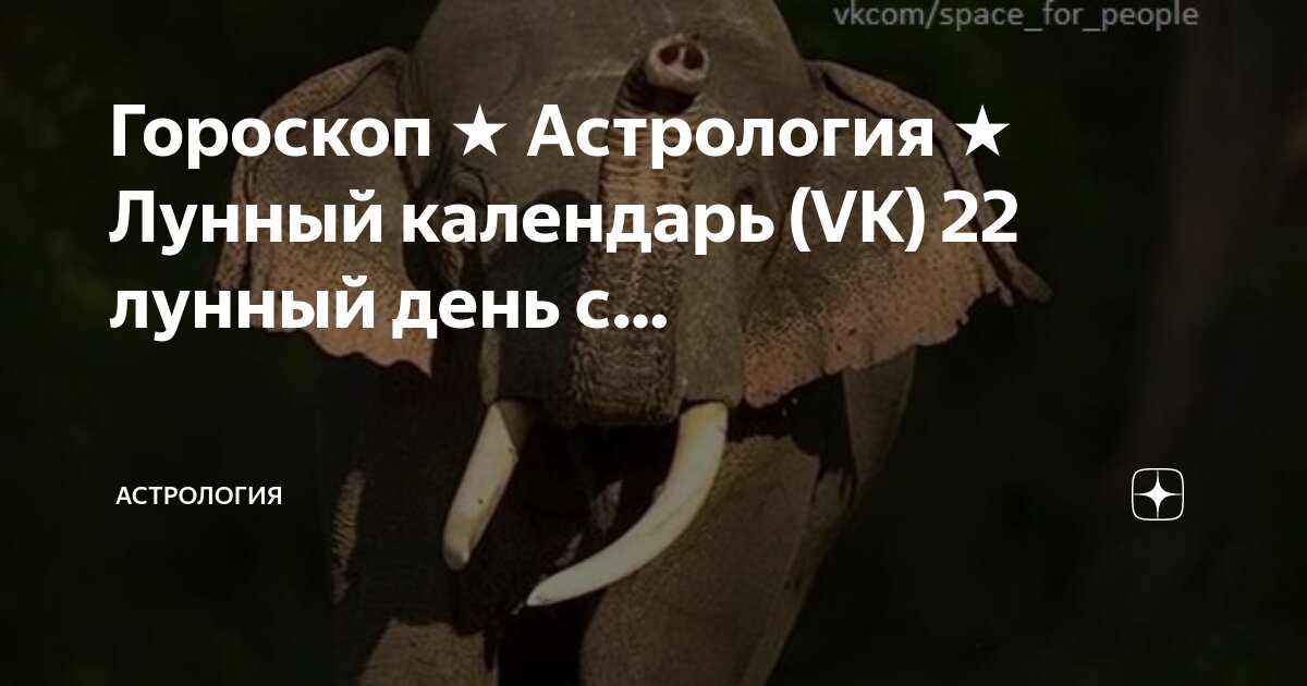 Посевной календарь 2019