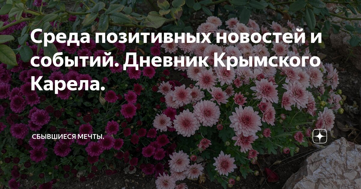 Среда позитивных новостей и событий. Дневник Крымского Карела ...