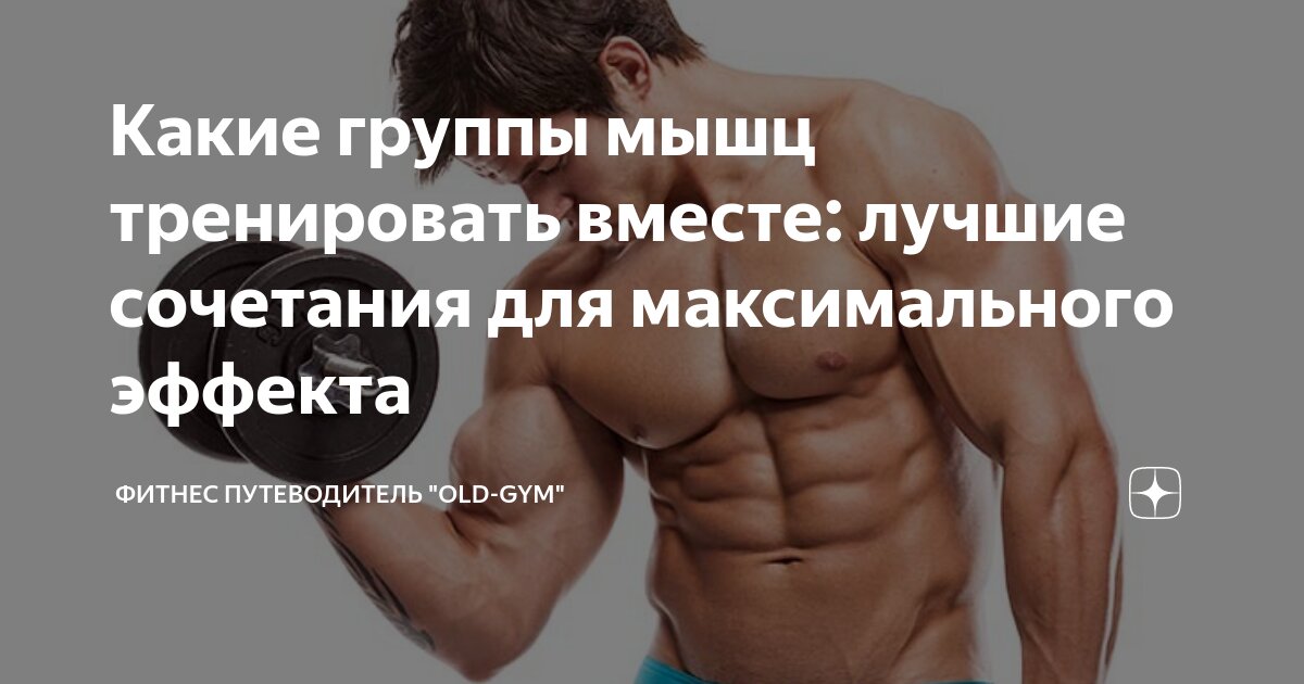 Organon � ������ �������: ����.