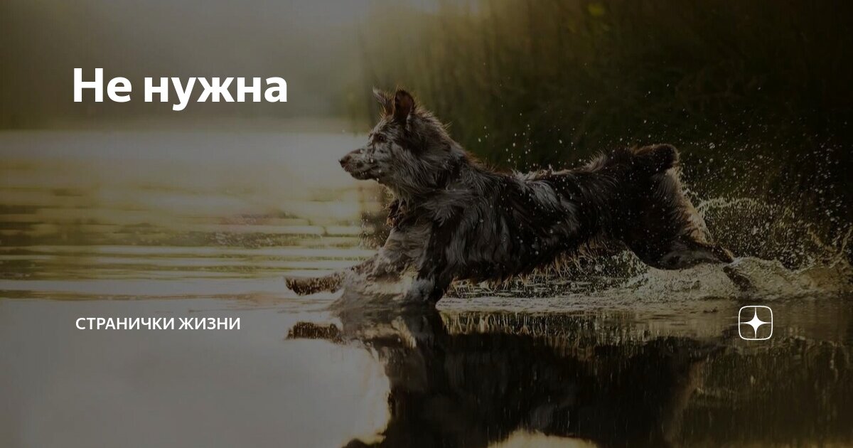Не нужна | Странички жизни | Дзен