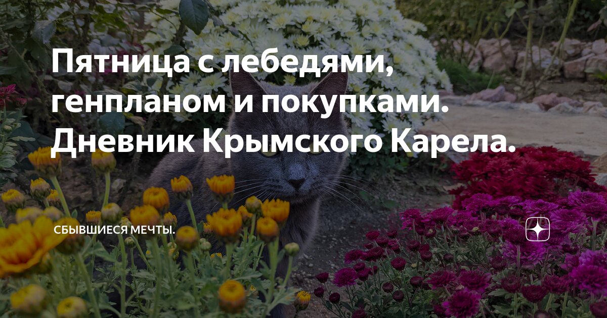 Пятница с лебедями, генпланом и покупками. Дневник Крымского Карела ...