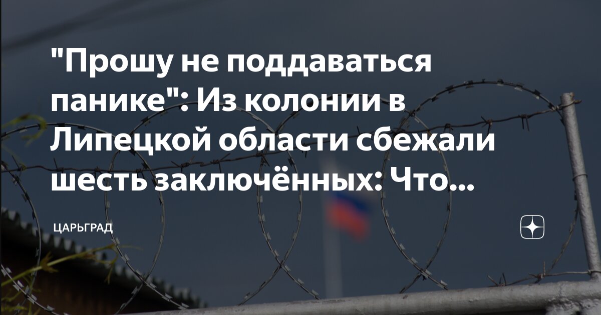 Липецкая область побег. Липецкая область побег. Липецкая область побег. Липецкая область побег. Липецкая область побег.