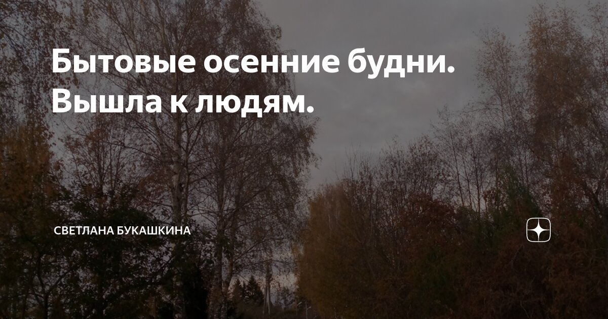 Бытовые осенние будни. Вышла к людям. | Светлана Букашкина | Дзен