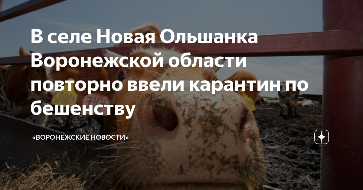 Карантин фото. Будет ли карантин в сентябре 2020. Новые будет карантин. Новые будет карантин. Карантин в москве.