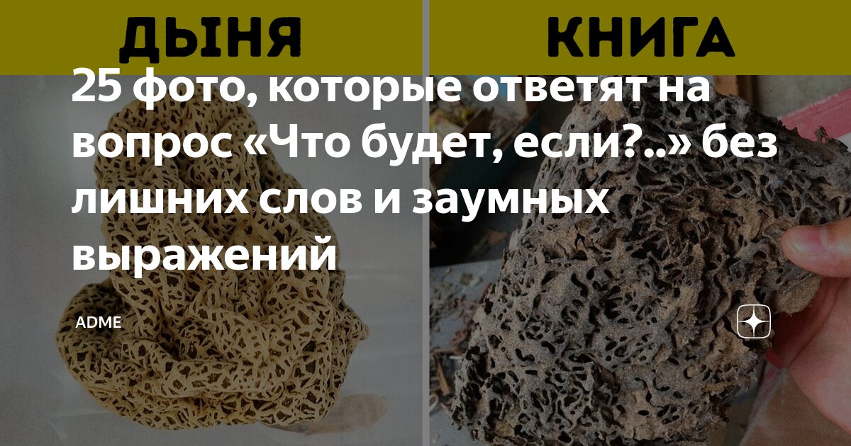 Быть лишним фото 25 фото, которые ответят на вопрос "Что будет, если?.." без лишних слов и заумны