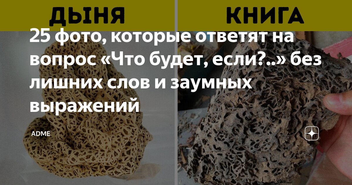 Какие слова есть на фото 25 фото, которые ответят на вопрос "Что будет, если?.." без лишних слов и заумны