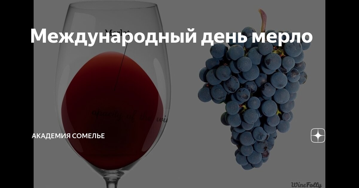 Международный день мерло | АКАДЕМИЯ СОМЕЛЬЕ | Дзен