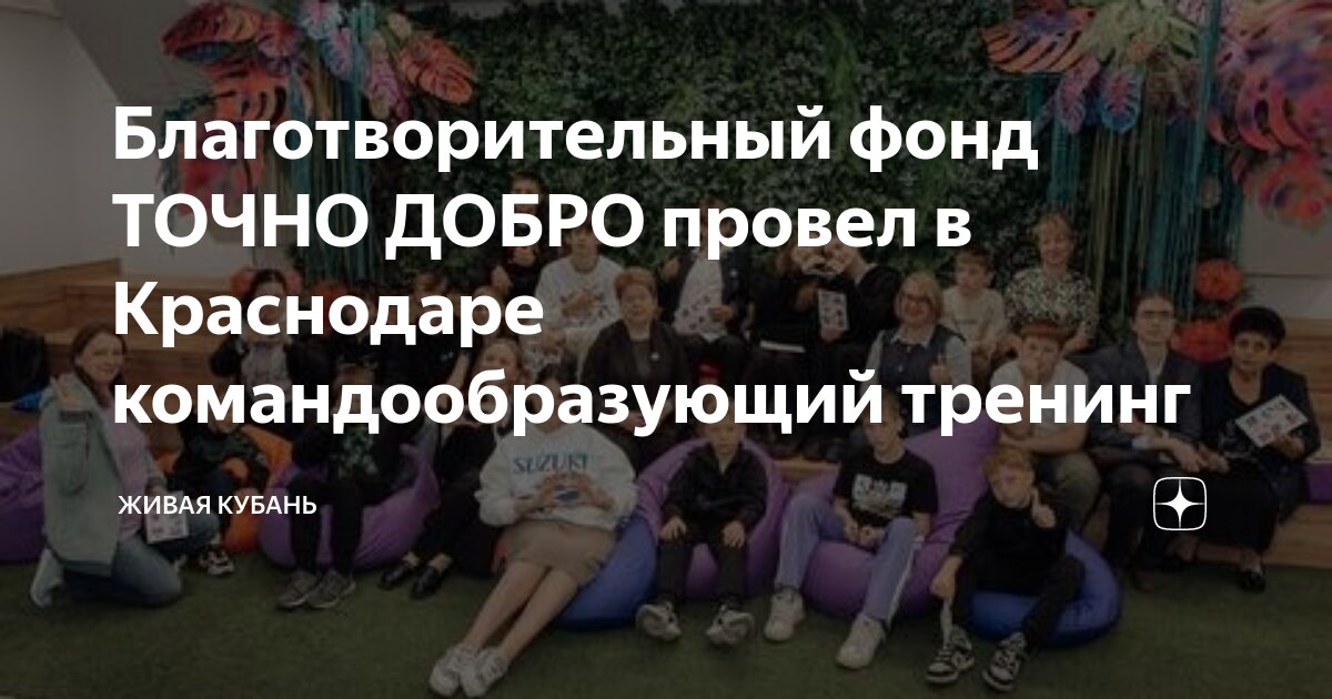Основатель благотворительных фондов. Благотворительная статья в организации. Основатель благотворительных фондов. Какие есть благотворительные организации. Основатель благотворительных фондов.