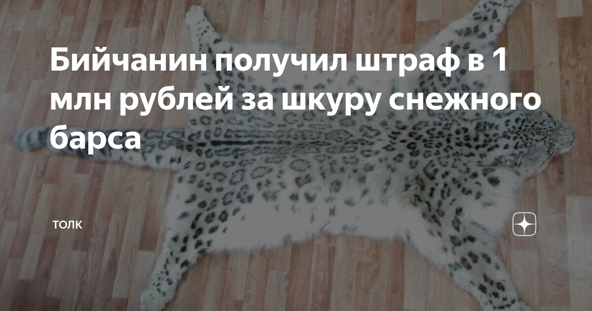 Бийчанин получил штраф в 1 млн рублей за шкуру снежного барса | ТОЛК | Дзен
