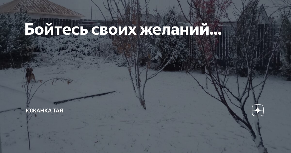 Бойтесь своих желаний... | Южанка Тая | Дзен