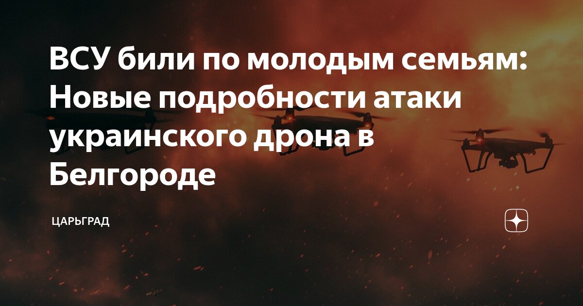 Котята разъехались по новым семьям | PETRO.WS