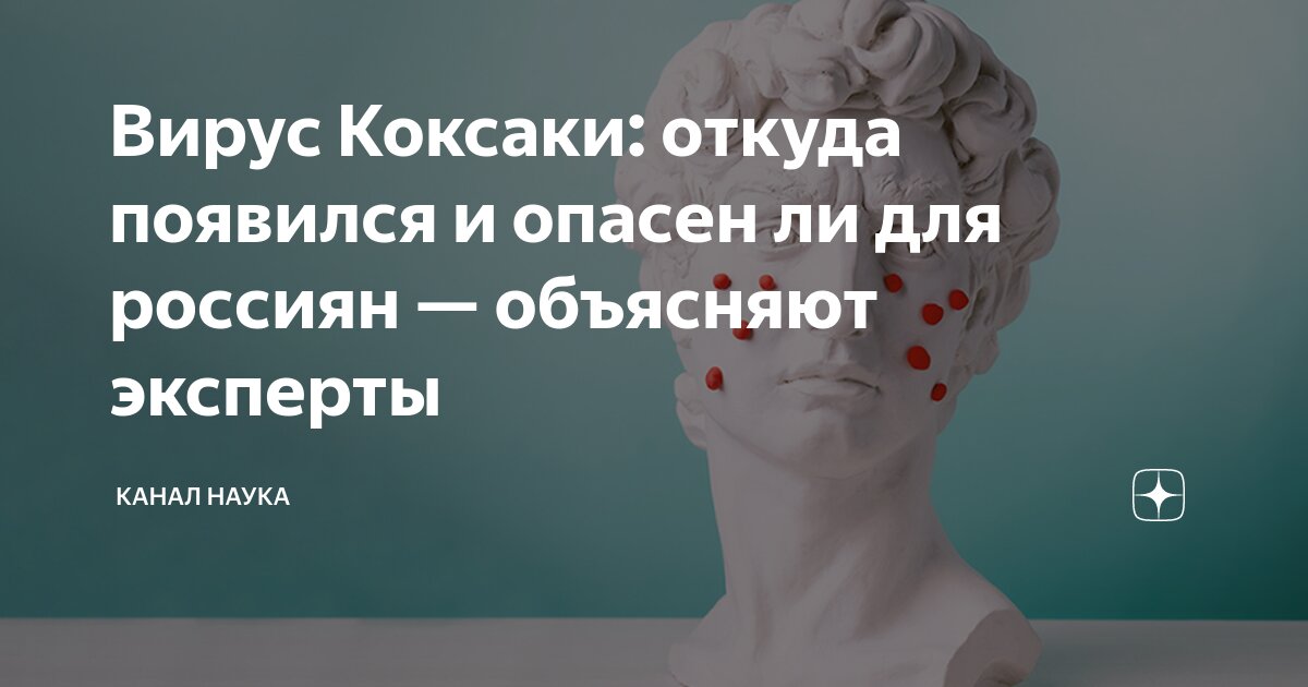 откуда пошел вирус коксаки