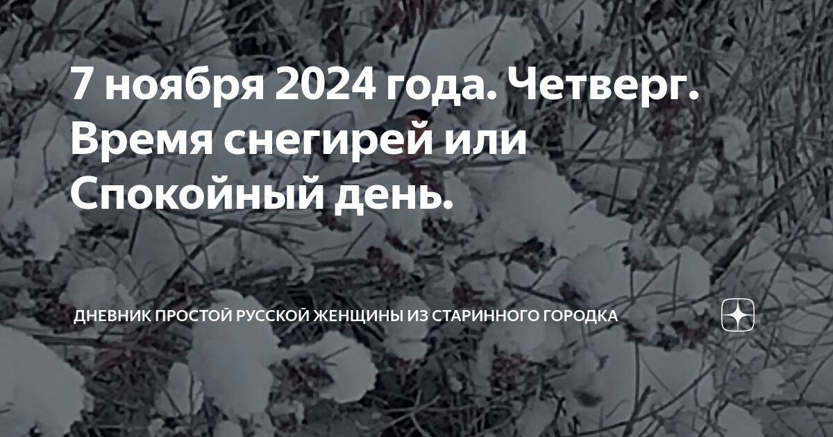 7 ноября 2024 года. Четверг. Время снегирей или Спокойный день ...