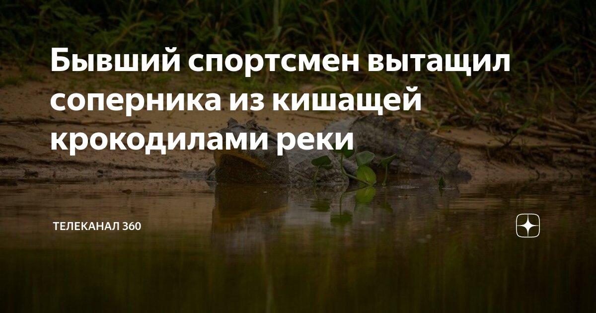 Кишмя кишит фразеологизм. Кишмя кишат значение. Кишили или кишели. Кишмя кишит. Кишили или кишели.