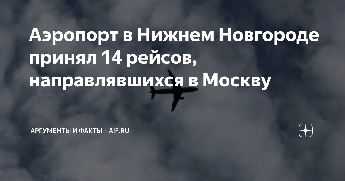 Силовики Нижнего Новгорода успешно приземлили водителя-мигранта, который силой