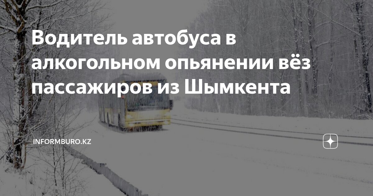 Водитель картинка. Попутчики зимой. Такси везет приложение. Стать водителем везет. Водитель возит людей.