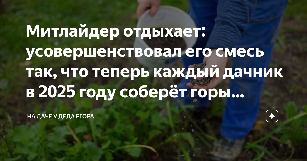 Митлайдер отдыхает: усовершенствовал его смесь так, что теперь каждый ...