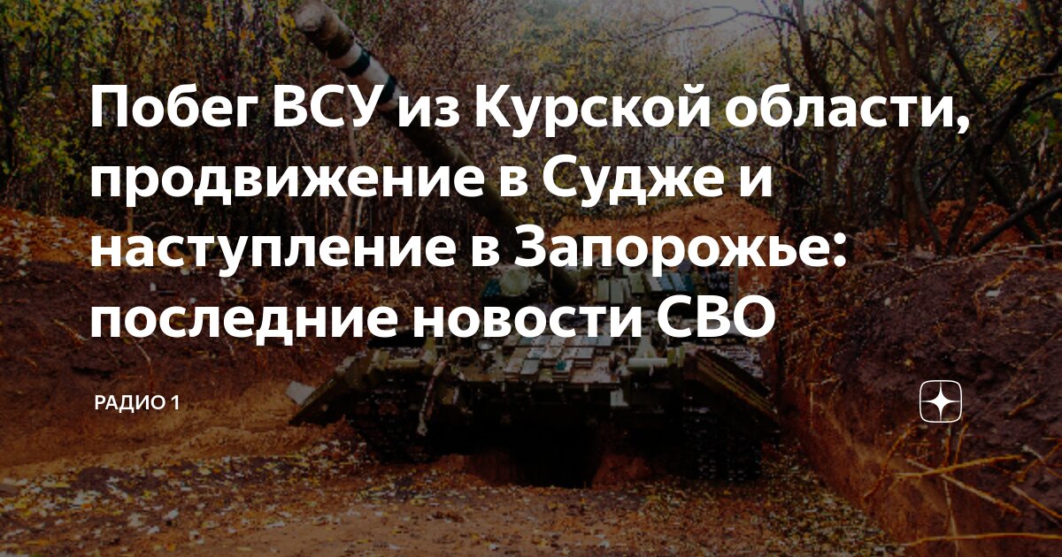 ВСУ не продвинулись ни на метр при наступлении в Запорожье - Балицкий