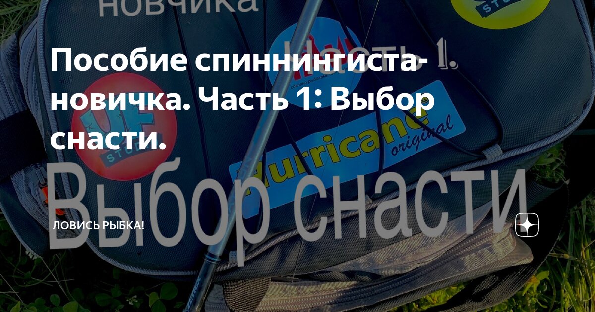 Подбор оснастки Пособие спиннингиста-новичка. Часть 1: Выбор снасти. Ловись Рыбка! Дзен