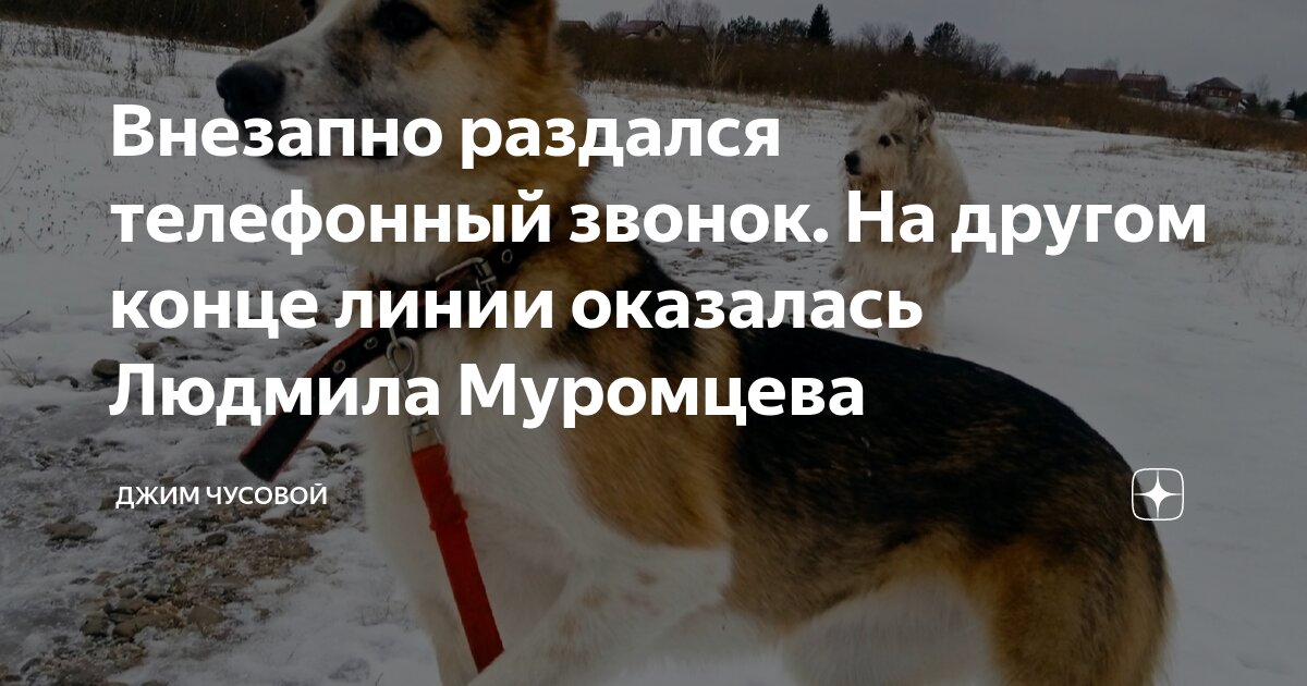 Внезапно раздался телефонный звонок. На другом конце линии оказалась ...