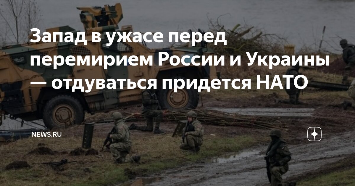 Оценена возможность новогоднего перемирия между Россией и Украиной