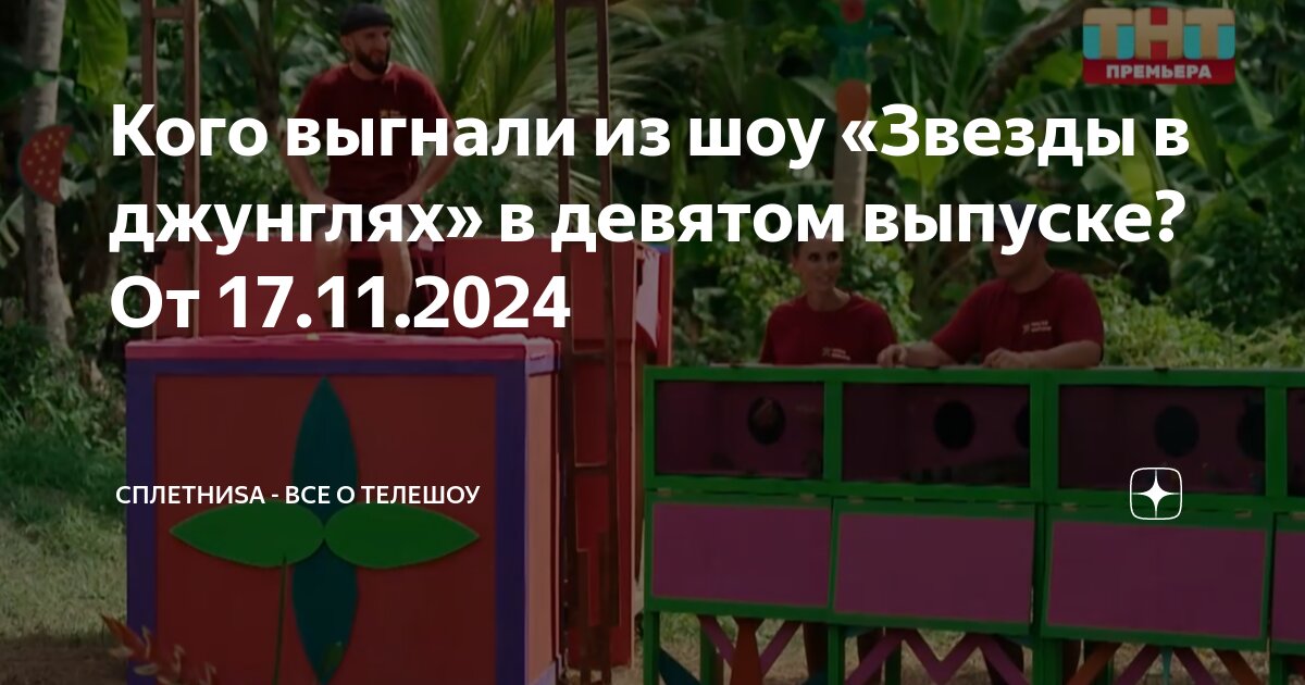 Звезды в джунглях 2024 сколько выпусков