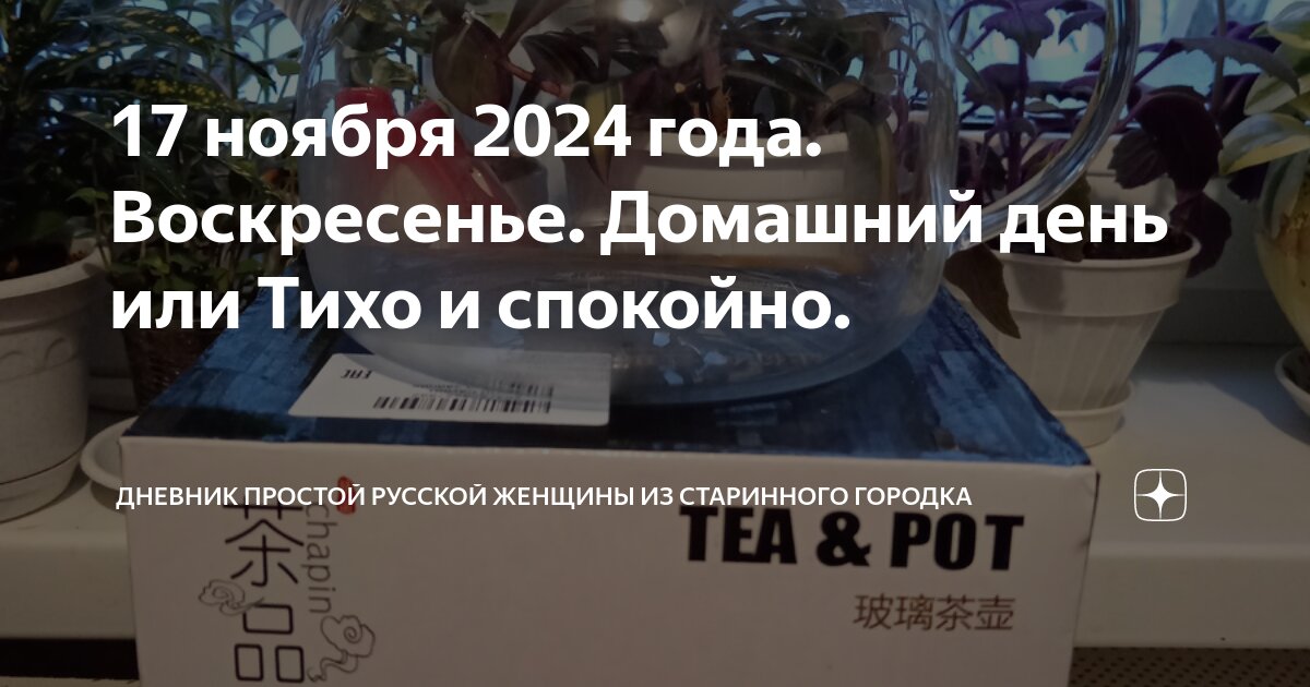17 ноября 2024 года. Воскресенье. Домашний день или Тихо и спокойно ...