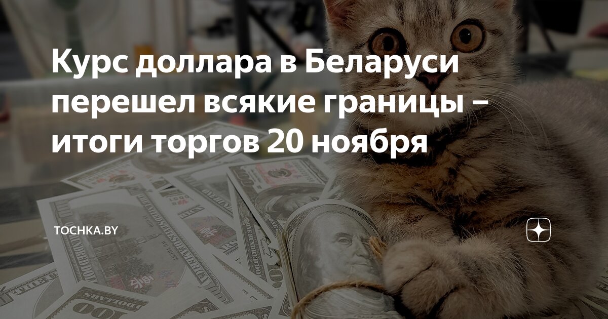 курс доллара евро в беларуси