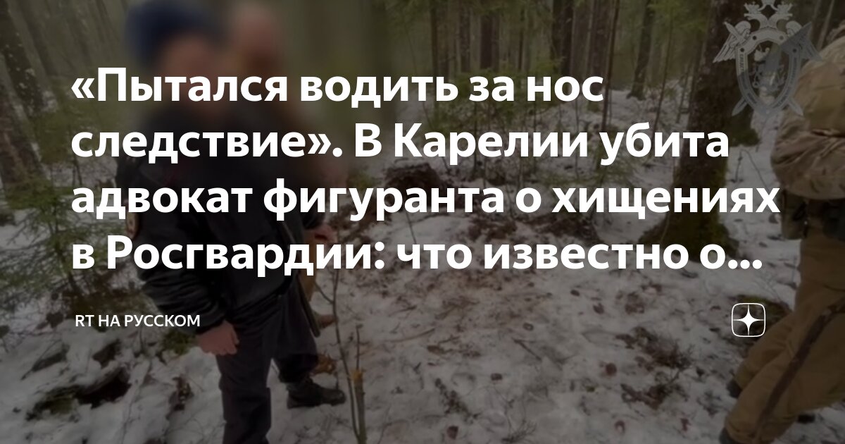 «Пытался водить за нос следствие». В Карелии убита адвокат фигуранта о ...