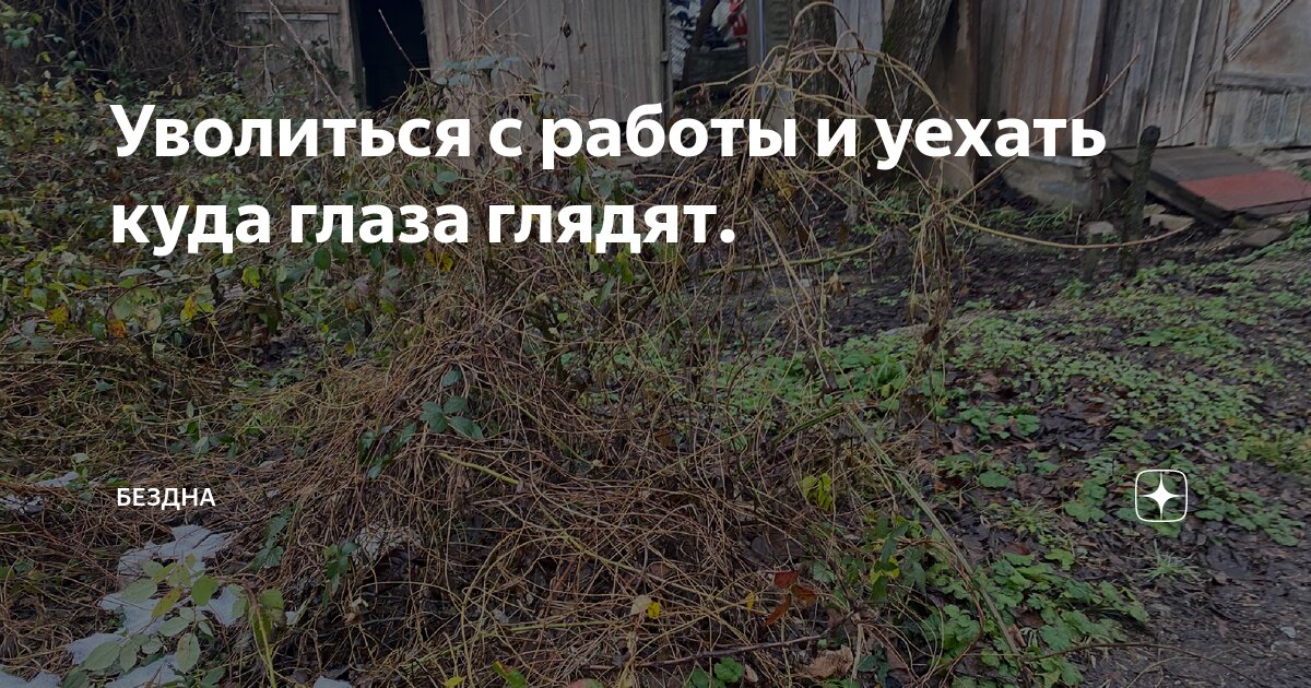 Уволиться с работы и уехать куда глаза глядят. | Бездна | Дзен