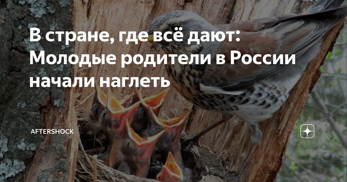 Stocking Porn Movies  Free Nylon Videos  Free Pantyhose Tubes!