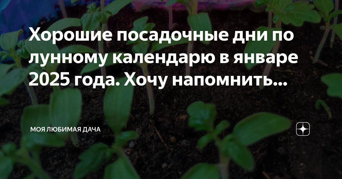 Посадочные дни в феврале. Лунный посевной календарь на 2022 год таблица. Посадочные дни 2025 года по лунному календарю. Посадочные дни 2025 года по лунному календарю. Посадочные дни 2025 года по лунному календарю.