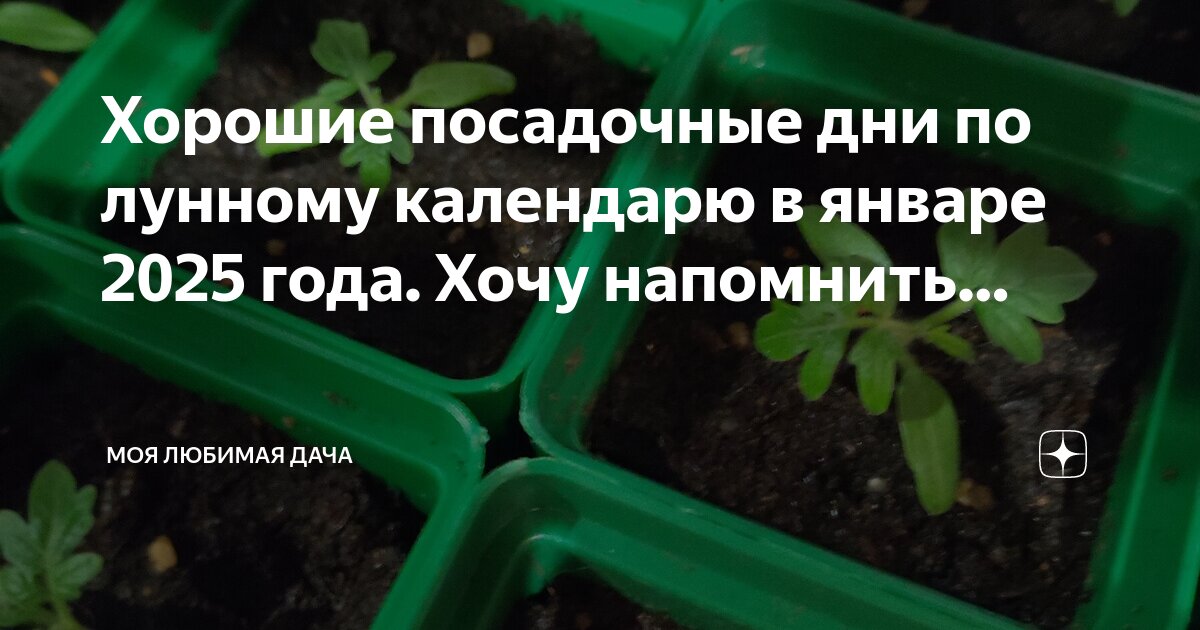 Лунный календарь садовода-огородника на 2020 год для подмосковья. Лунный посевной календарь на 2025 год таблица. Посевной календарь на 2023 год. Лунный посевной календарь на 2025 год таблица. Лунный посевной календарь на 2025 год таблица.