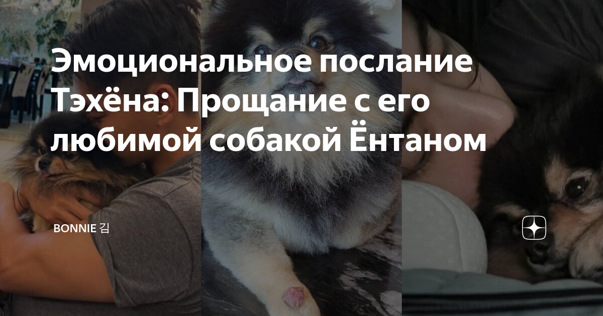 Таркхойн к1ентан жерочун к1ентан жумин акхтулин илли. Таркхойн к1ентан жерочун к1ентан жумин акхтулин илли