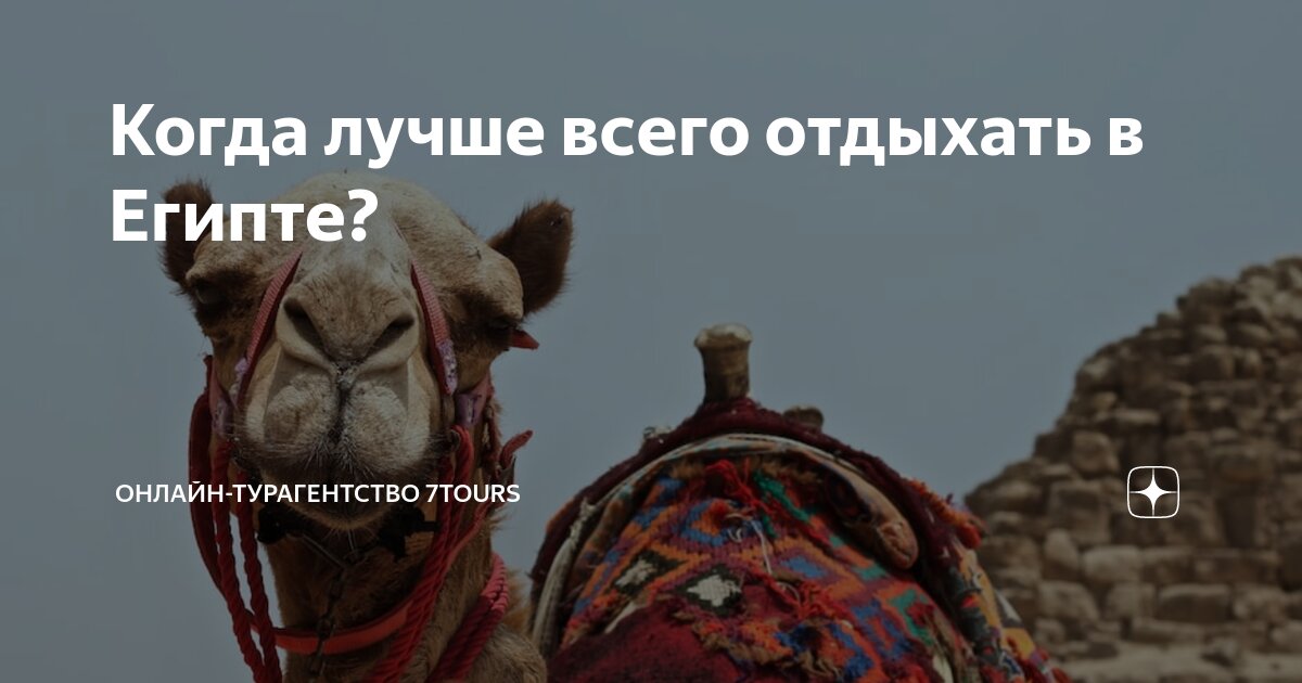 где лучше всего отдыхать в египте в январе