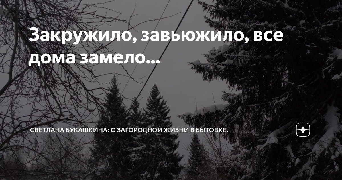 Закружило, завьюжило, все дома замело... | Светлана Букашкина ...