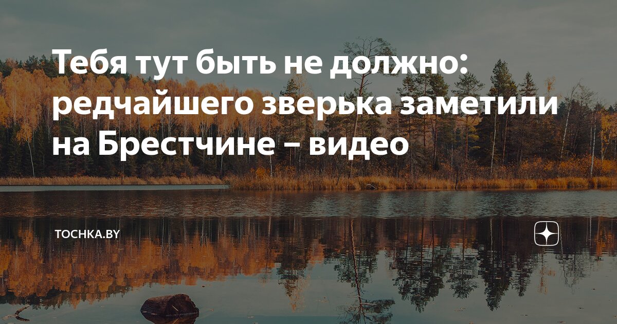 Тебя тут быть не должно. Тебя тут быть не должно