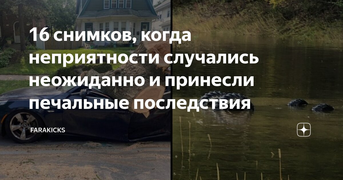 Ложные потребности. Какие последствия вырубки леса. Неумение. Привело к печальным последствиям. К каким последстаиям приаодит обезьесенье.